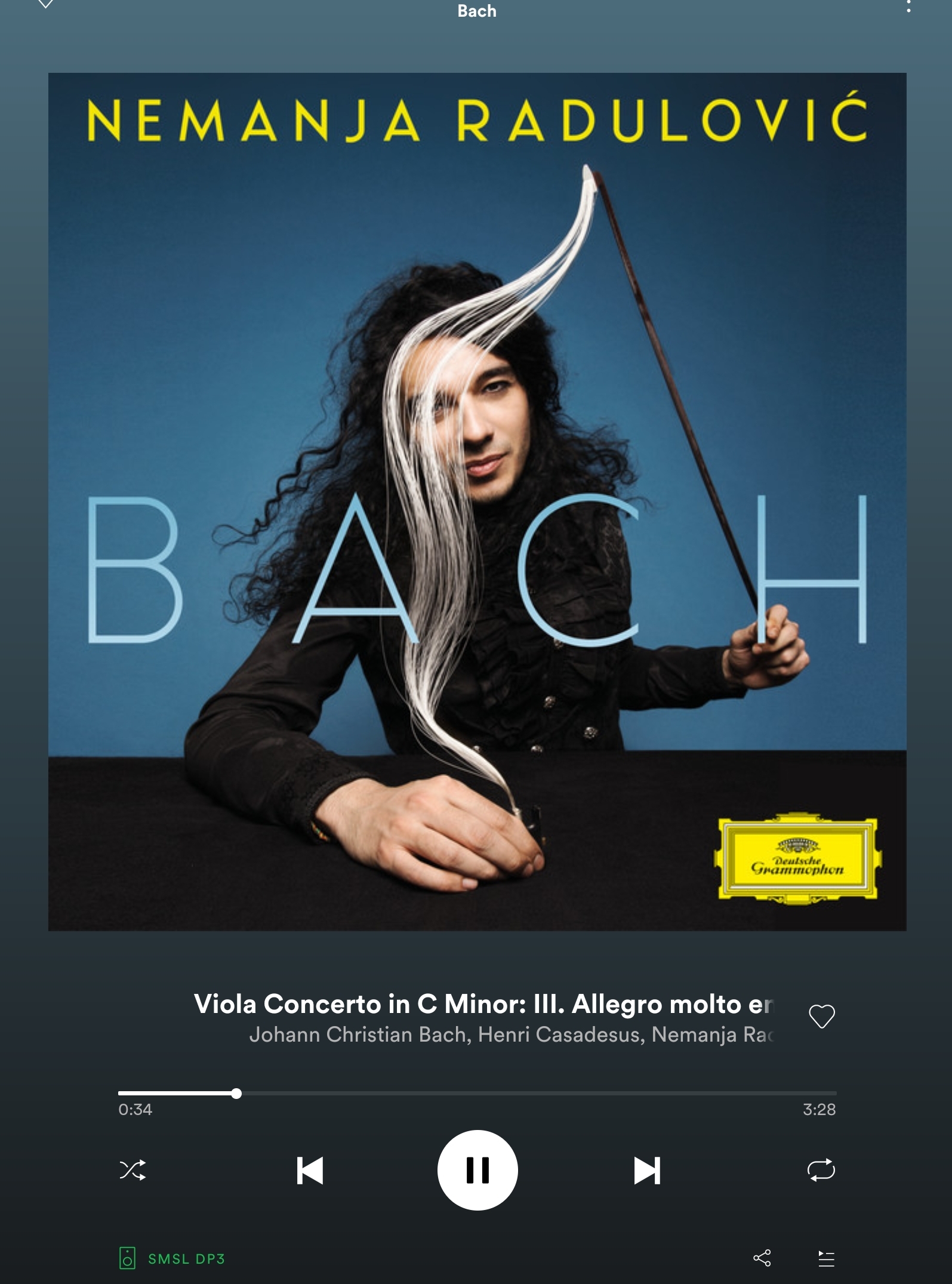 Screenshot_20220105-202029_Spotify.jpg