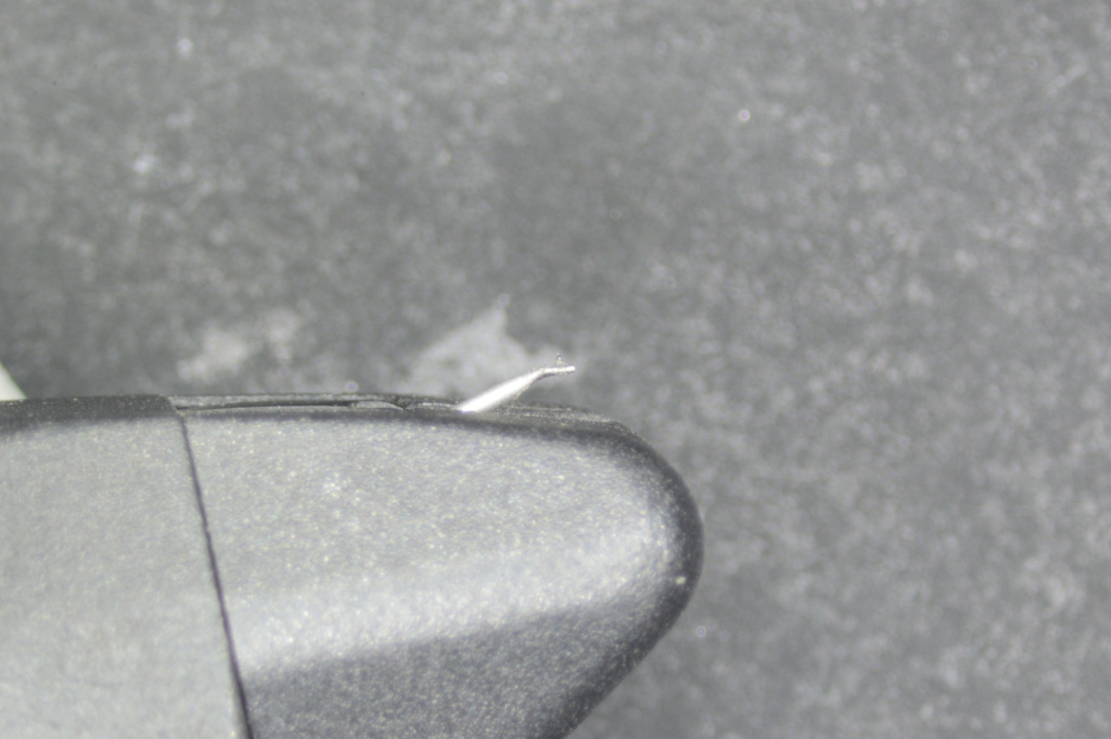 DSC_0166.JPG