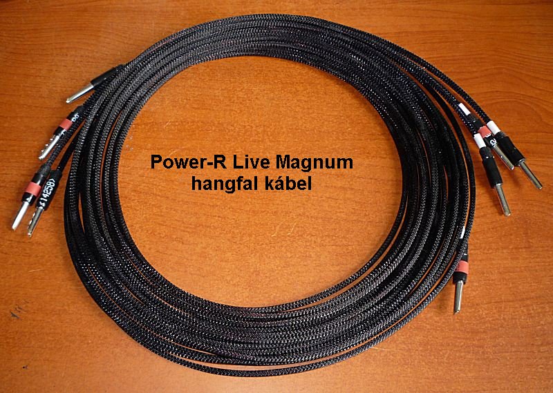Magnum 700px.jpg