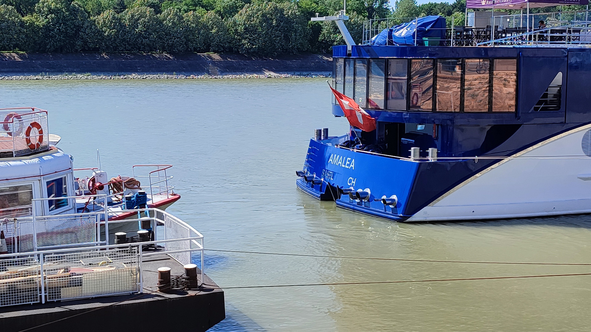 Amalea.jpg