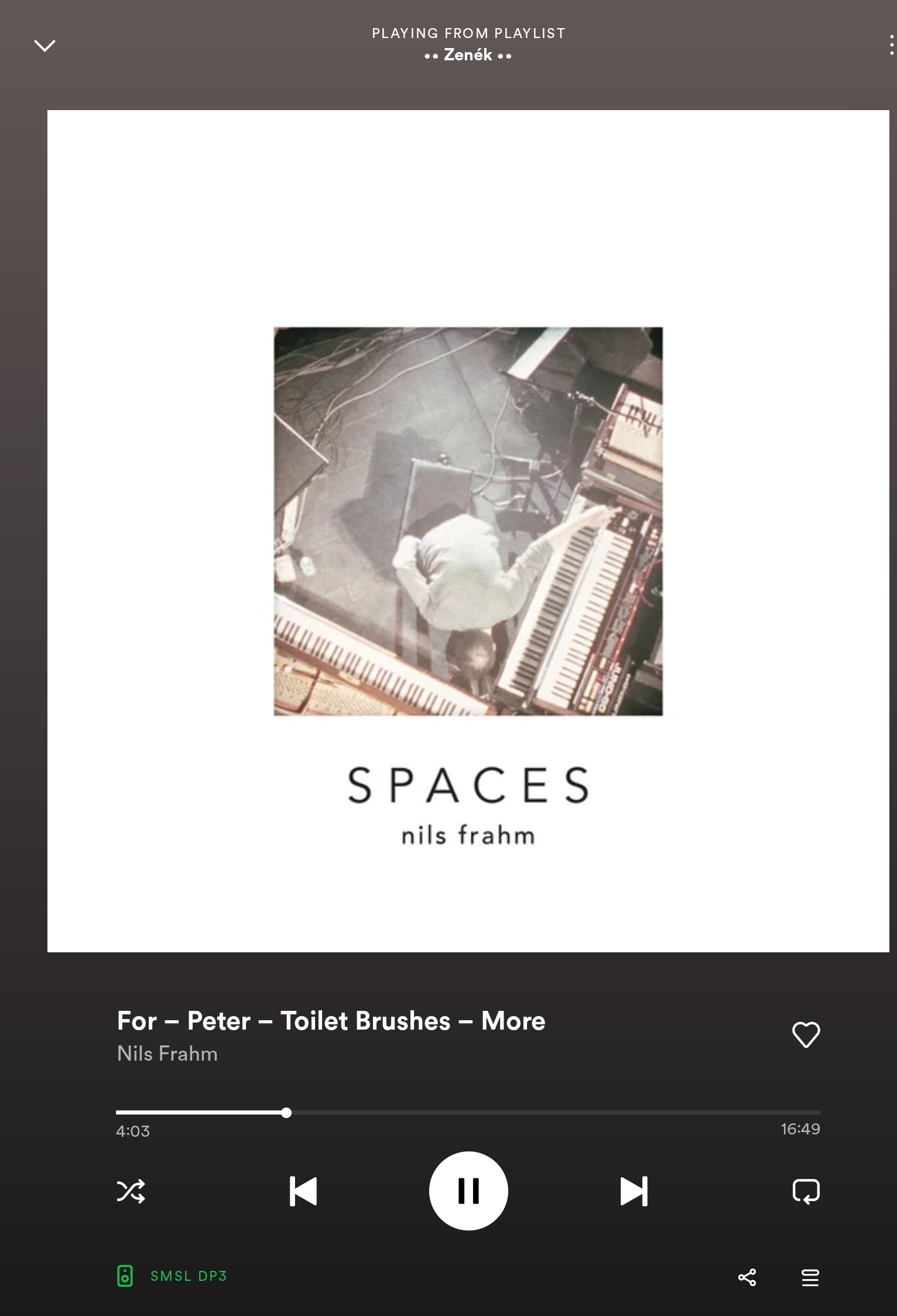 Screenshot_20220919-111456_Spotify.jpg