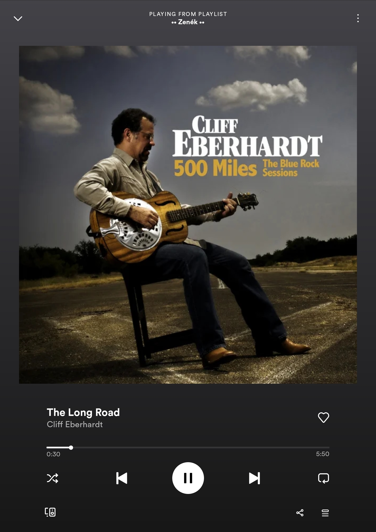 Screenshot_20221025-123232_Spotify.jpg