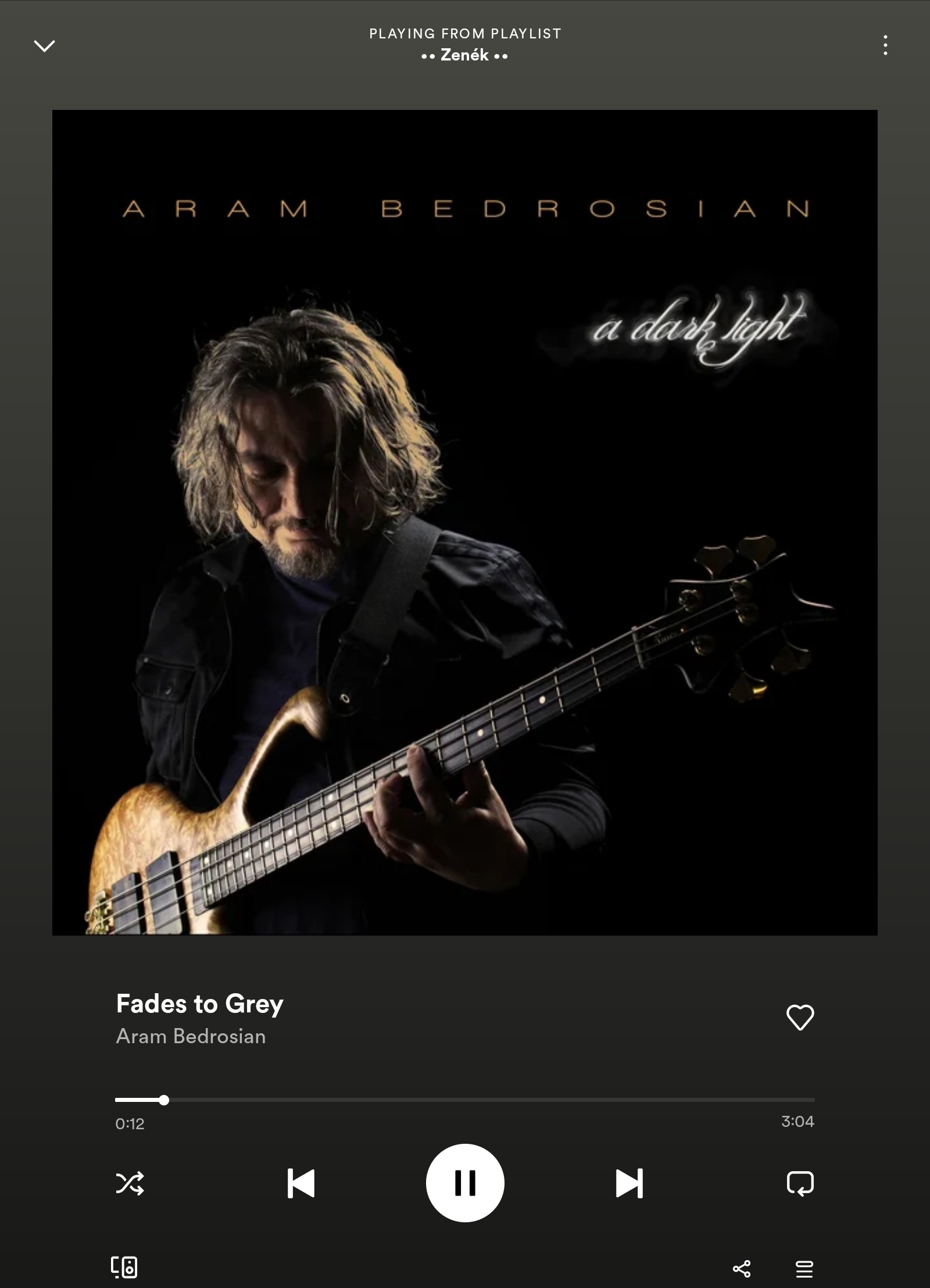 Screenshot_20221217-193508_Spotify.jpg