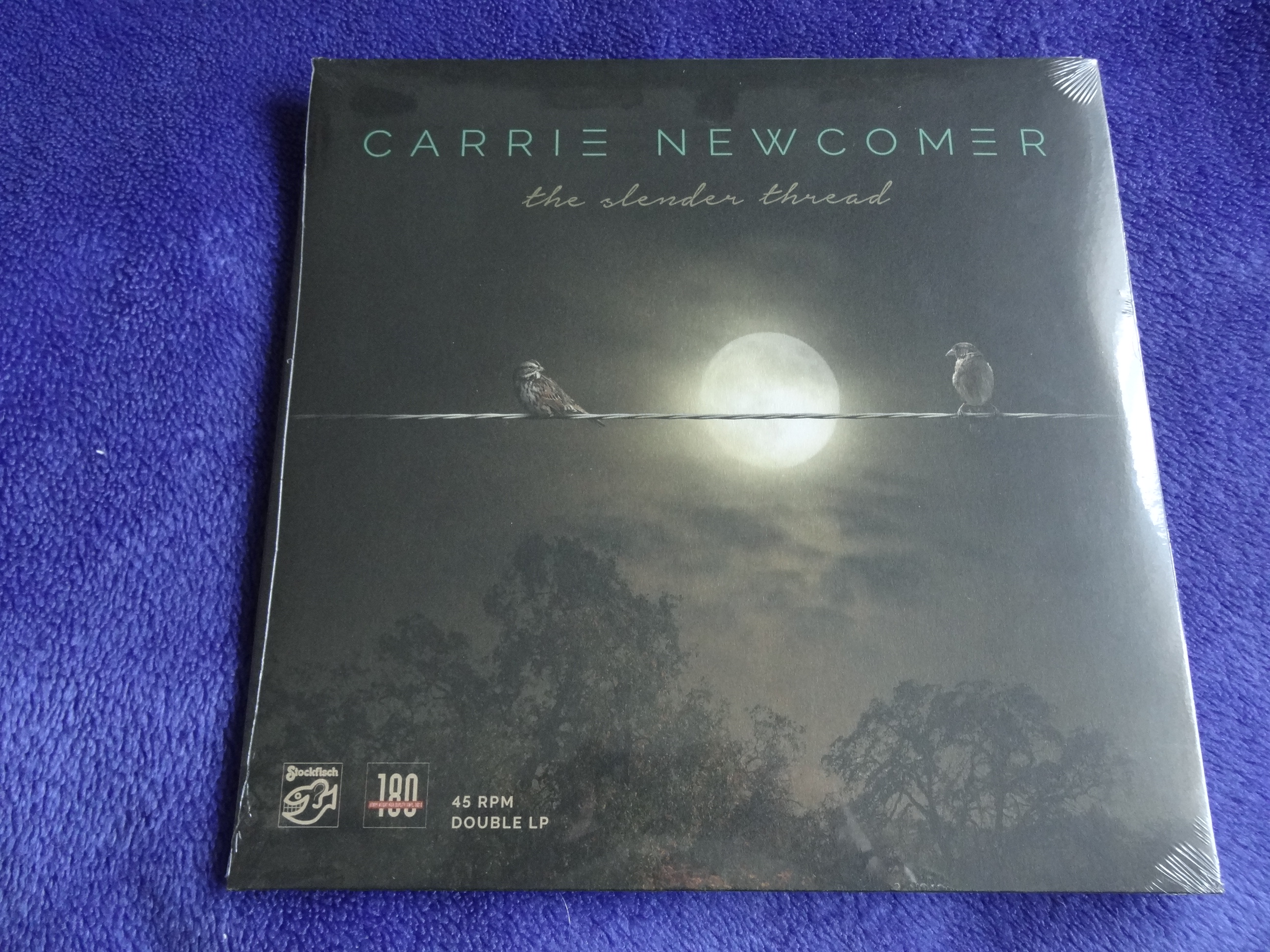 Carrie Newcomer 2.JPG