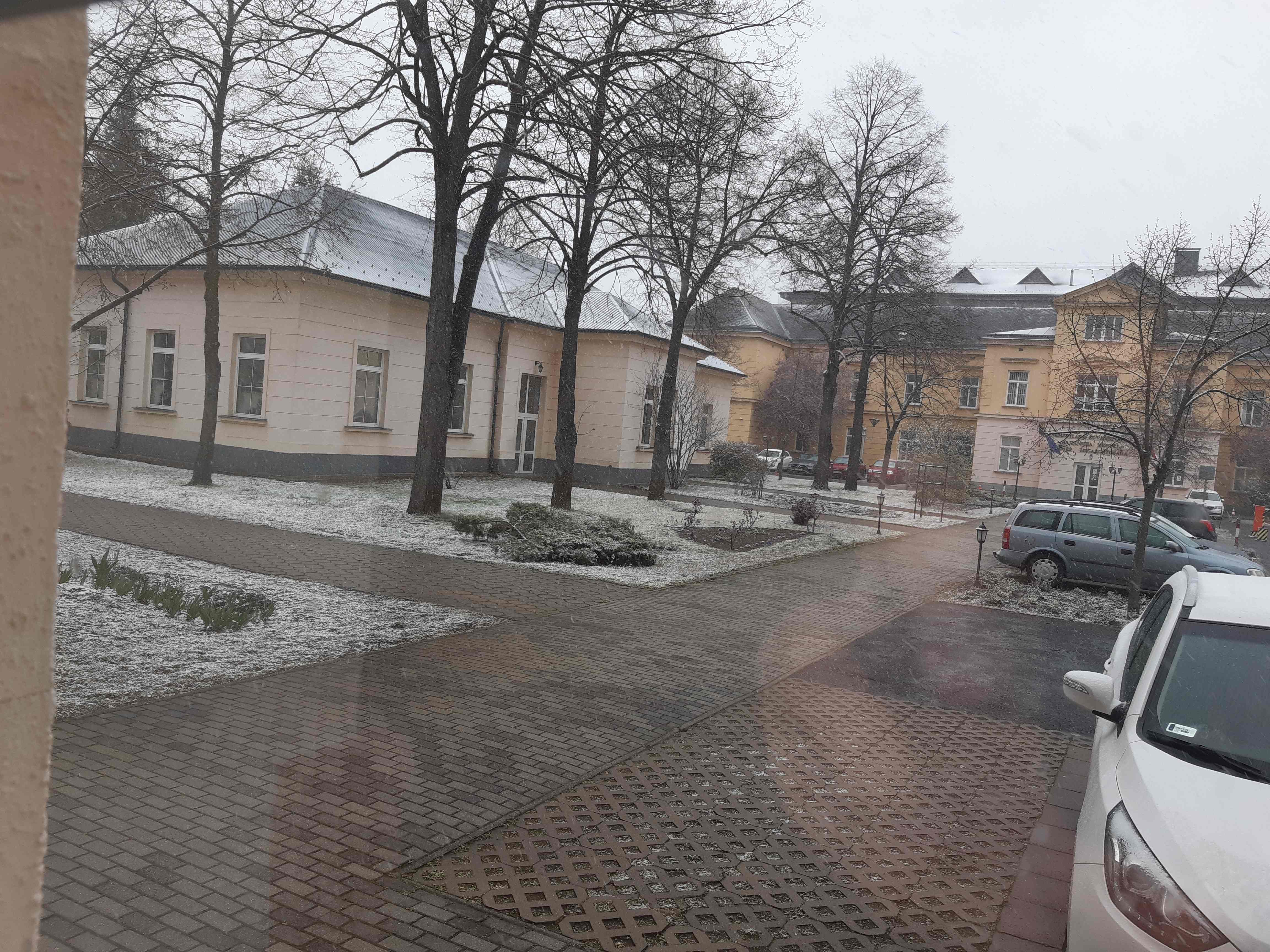 20230406_092421.jpg