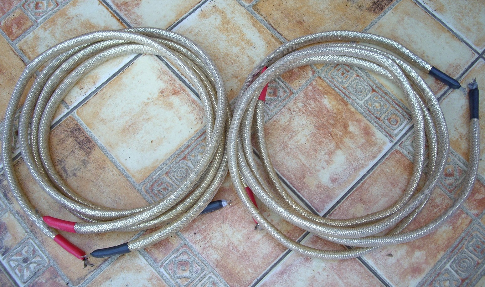 IMGP5928.JPG