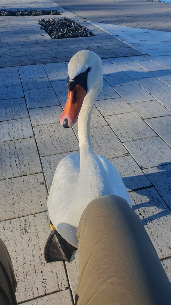 20231218_125404.jpg