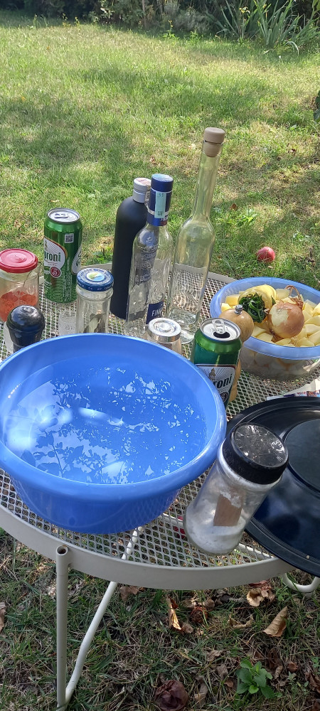 20240908_114727.jpg