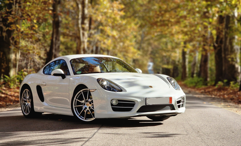 20241030_125535 lv.jpg