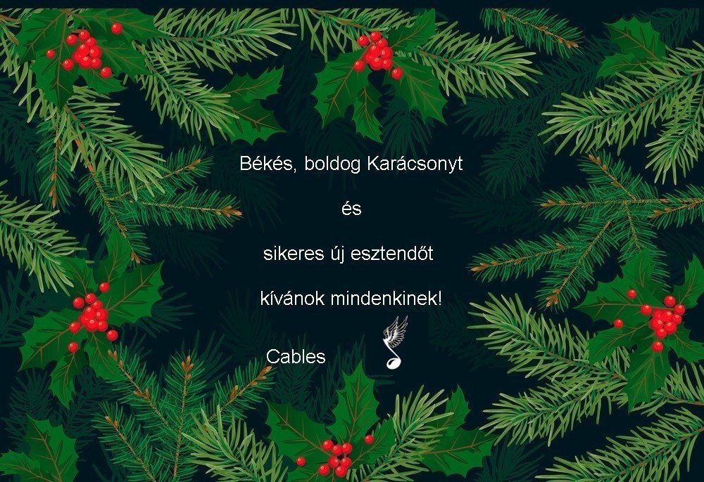 Karácsonyi üdvözlet.jpg