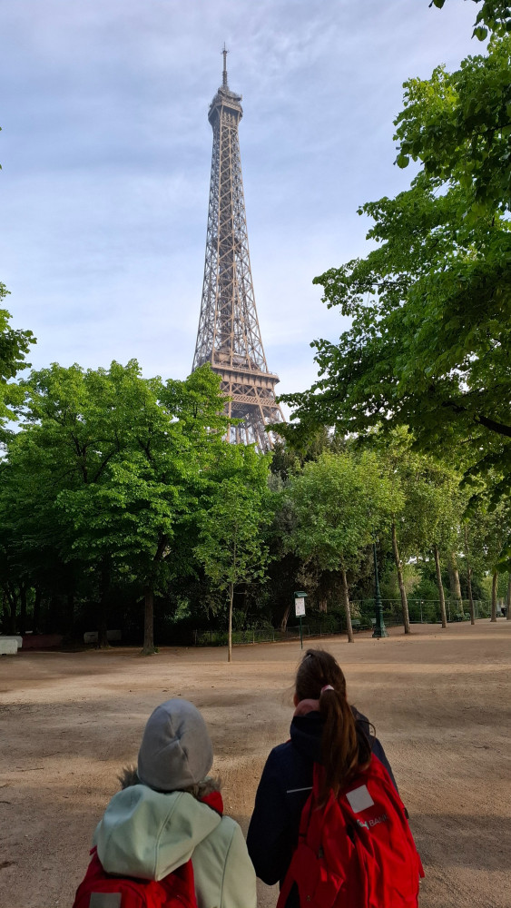 20250426_083355.jpg