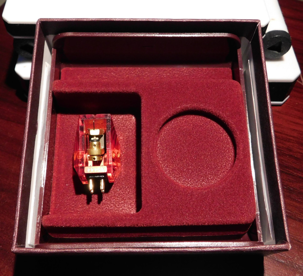 DSCN6733.JPG