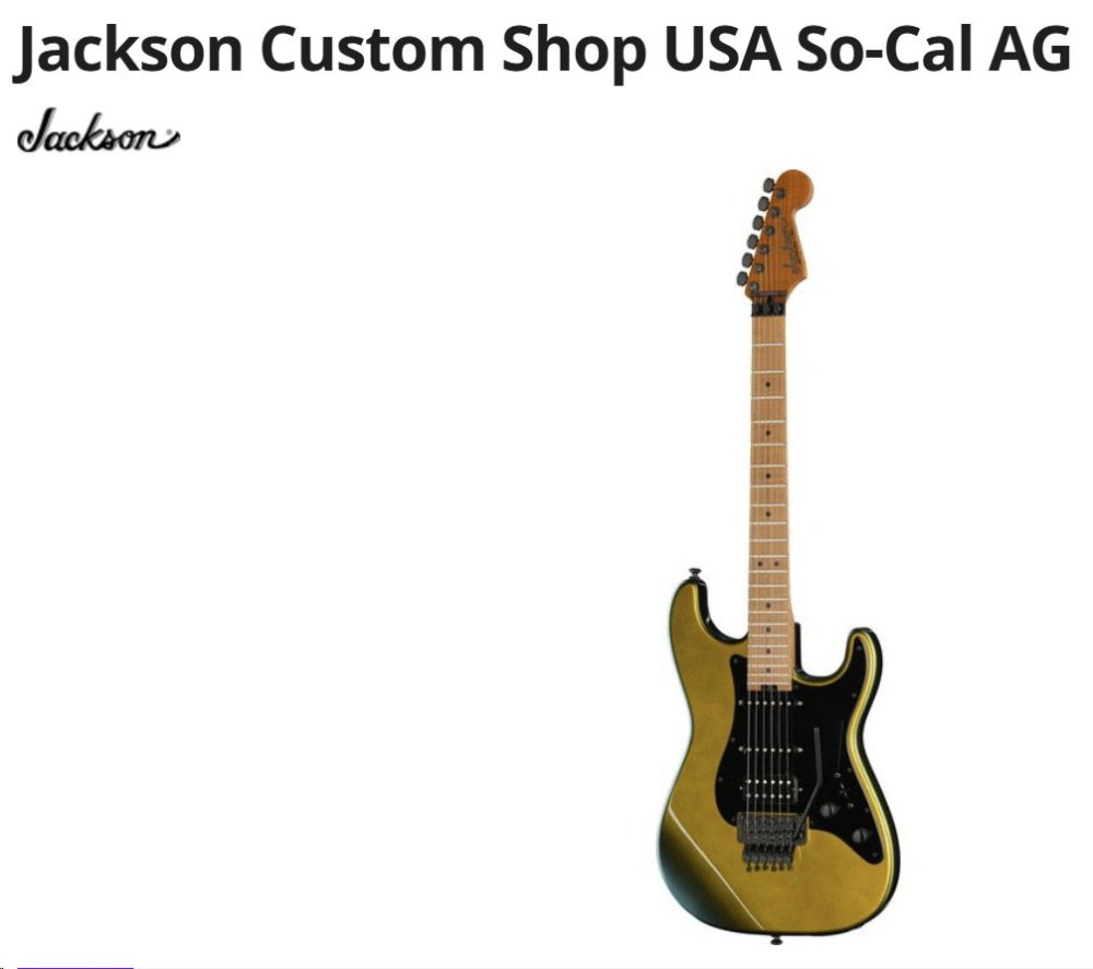 Fender Strat - Jackson 02.jpg